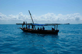 Boat Tour | Forodhani Park Hotel