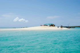 Zanzibar Snorkeling | Forodhani Park Hotel