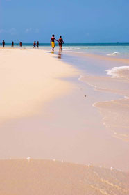 Zanzibar Temporary Island Hopping Tour | Forodhani Park Hotel